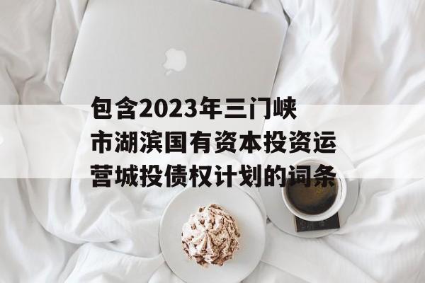 包含2023年三门峡市湖滨国有资本投资运营城投债权计划的词条