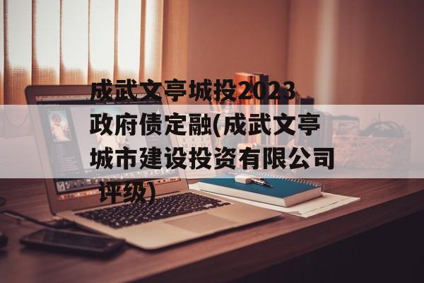 成武文亭城投2023政府债定融(成武文亭城市建设投资有限公司 评级)