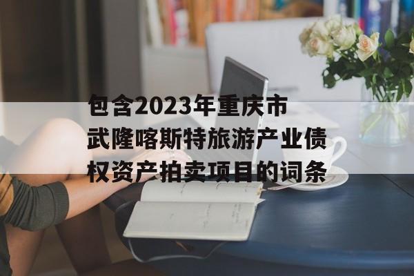 包含2023年重庆市武隆喀斯特旅游产业债权资产拍卖项目的词条