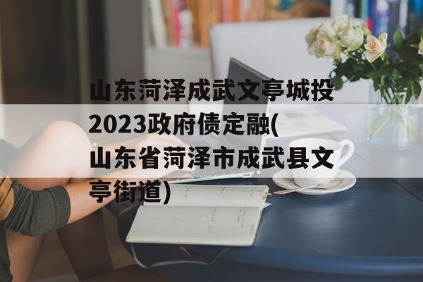 山东菏泽成武文亭城投2023政府债定融(山东省菏泽市成武县文亭街道)