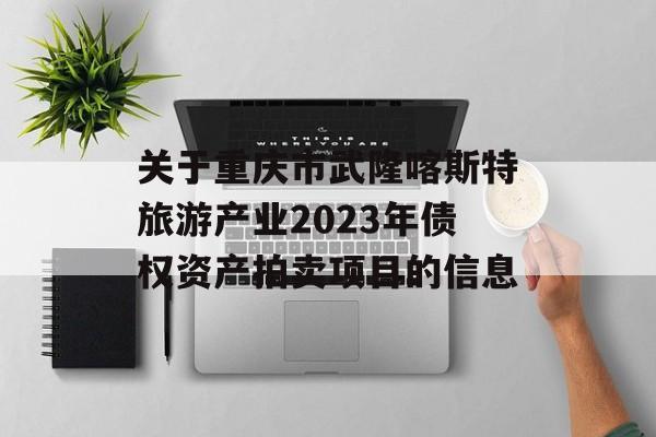 关于重庆市武隆喀斯特旅游产业2023年债权资产拍卖项目的信息