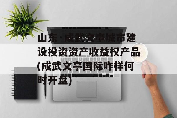 山东·成武文亭城市建设投资资产收益权产品(成武文亭国际咋样何时开盘)