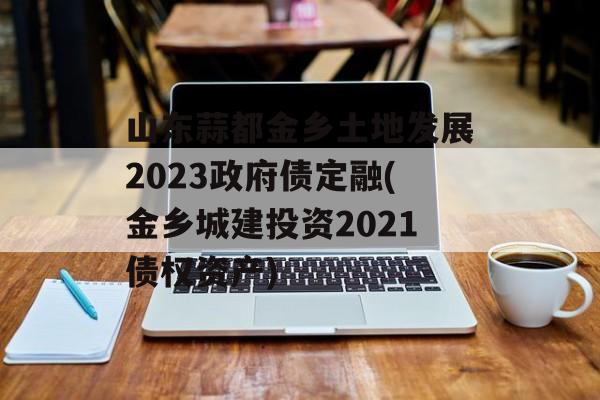 山东蒜都金乡土地发展2023政府债定融(金乡城建投资2021债权资产)