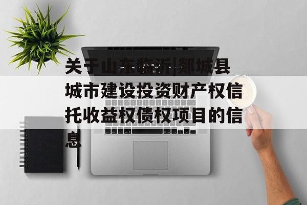 关于山东临沂|郯城县城市建设投资财产权信托收益权债权项目的信息