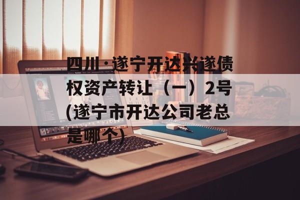 四川·遂宁开达兴遂债权资产转让（一）2号(遂宁市开达公司老总是哪个)