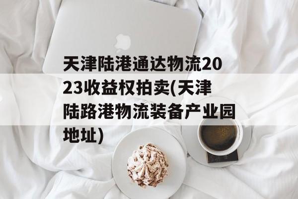 天津陆港通达物流2023收益权拍卖(天津陆路港物流装备产业园地址)