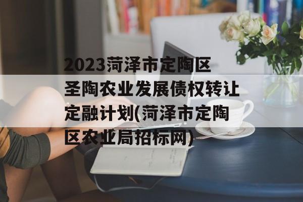 2023菏泽市定陶区圣陶农业发展债权转让定融计划(菏泽市定陶区农业局招标网)