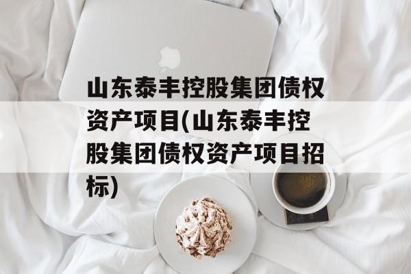 山东泰丰控股集团债权资产项目(山东泰丰控股集团债权资产项目招标)