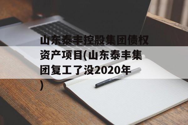 山东泰丰控股集团债权资产项目(山东泰丰集团复工了没2020年)