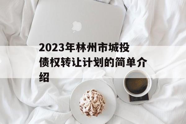 2023年林州市城投债权转让计划的简单介绍