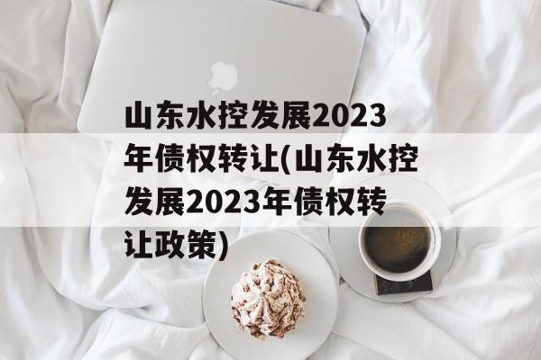 山东水控发展2023年债权转让(山东水控发展2023年债权转让政策)