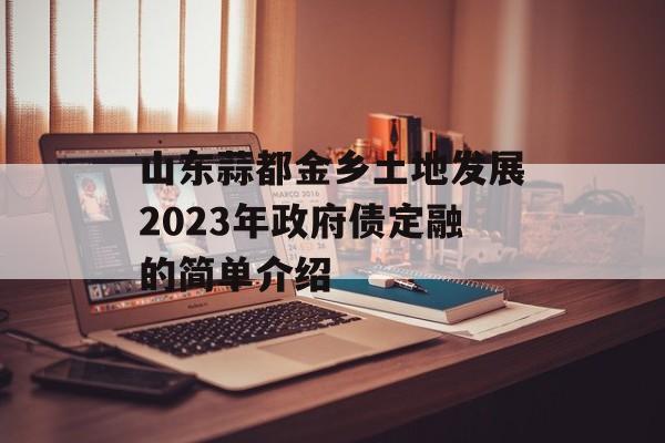 山东蒜都金乡土地发展2023年政府债定融的简单介绍