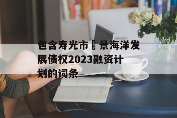 包含寿光市昇景海洋发展债权2023融资计划的词条