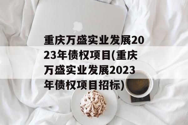 重庆万盛实业发展2023年债权项目(重庆万盛实业发展2023年债权项目招标)