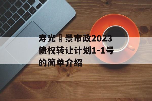 寿光昇景市政2023债权转让计划1-1号的简单介绍