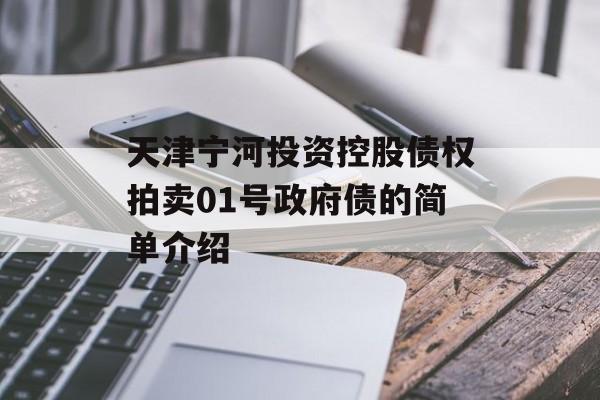 天津宁河投资控股债权拍卖01号政府债的简单介绍