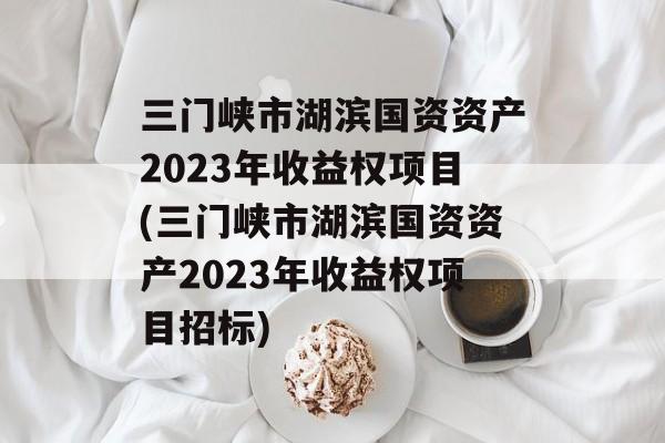 三门峡市湖滨国资资产2023年收益权项目(三门峡市湖滨国资资产2023年收益权项目招标)