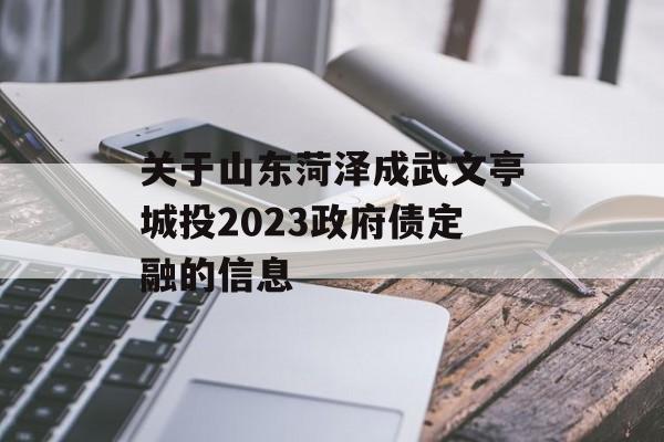 关于山东菏泽成武文亭城投2023政府债定融的信息