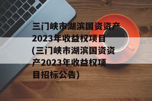 三门峡市湖滨国资资产2023年收益权项目(三门峡市湖滨国资资产2023年收益权项目招标公告)