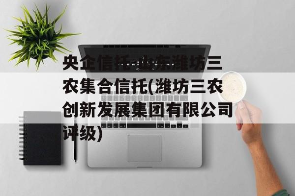 央企信托-山东潍坊三农集合信托(潍坊三农创新发展集团有限公司评级)