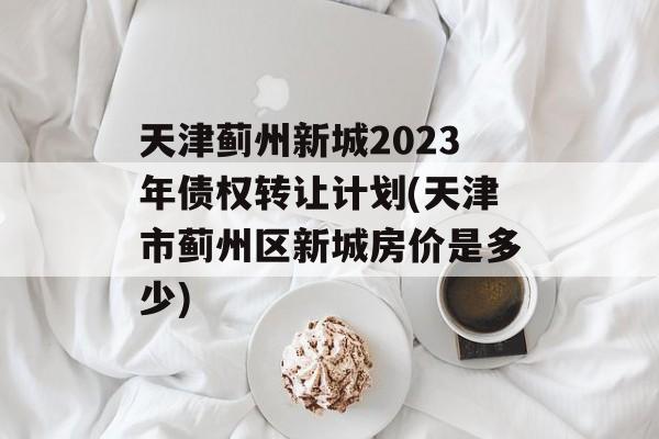 天津蓟州新城2023年债权转让计划(天津市蓟州区新城房价是多少)