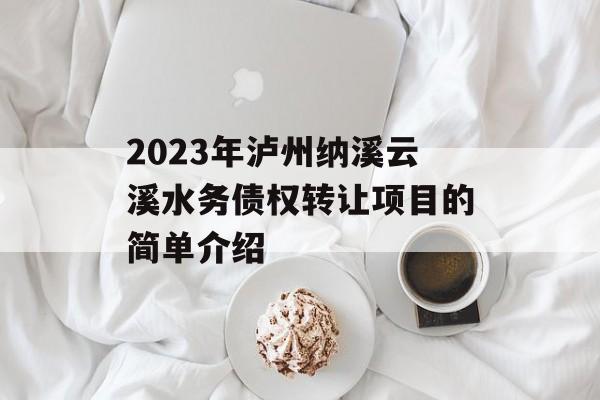 2023年泸州纳溪云溪水务债权转让项目的简单介绍