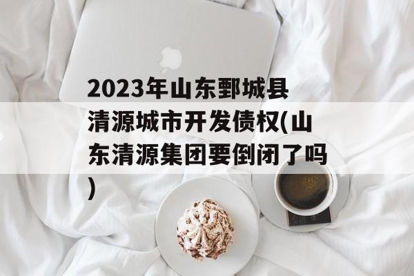 2023年山东鄄城县清源城市开发债权(山东清源集团要倒闭了吗)