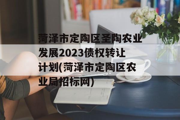 菏泽市定陶区圣陶农业发展2023债权转让计划(菏泽市定陶区农业局招标网)