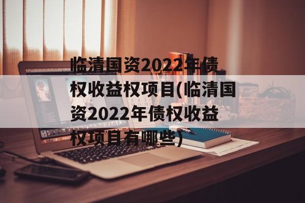 临清国资2022年债权收益权项目(临清国资2022年债权收益权项目有哪些)