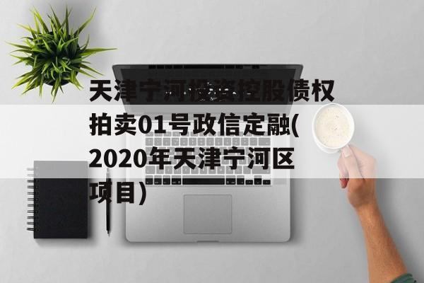 天津宁河投资控股债权拍卖01号政信定融(2020年天津宁河区项目)