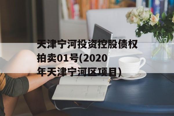 天津宁河投资控股债权拍卖01号(2020年天津宁河区项目)