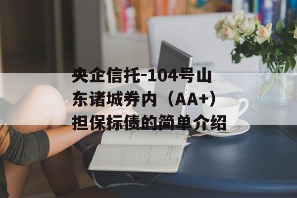 央企信托-104号山东诸城券内（AA+）担保标债的简单介绍