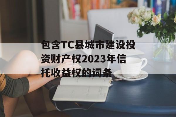 包含TC县城市建设投资财产权2023年信托收益权的词条