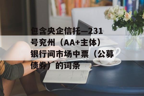 包含央企信托—231号兖州（AA+主体）银行间市场中票（公募债券）的词条