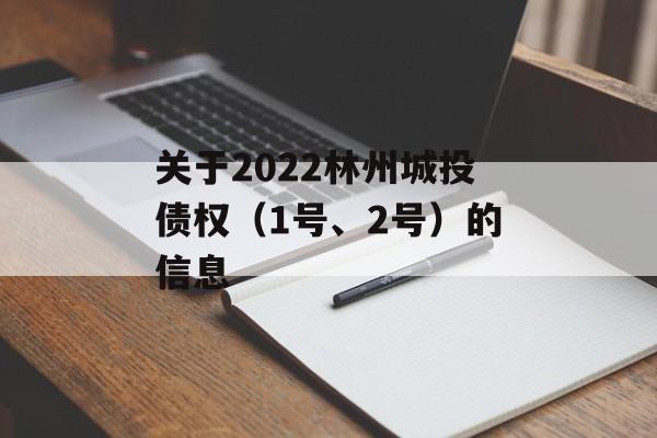 关于2022林州城投债权（1号、2号）的信息