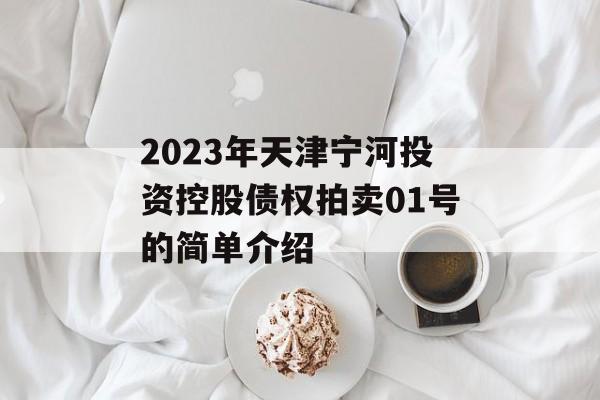 2023年天津宁河投资控股债权拍卖01号的简单介绍