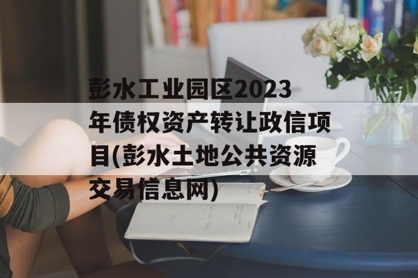 彭水工业园区2023年债权资产转让政信项目(彭水土地公共资源交易信息网)