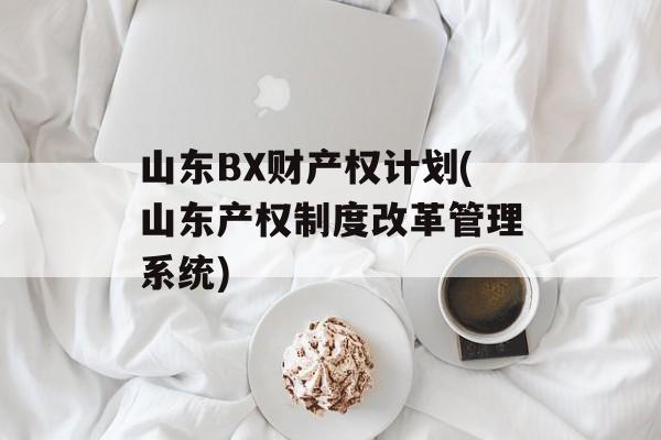 山东BX财产权计划(山东产权制度改革管理系统)