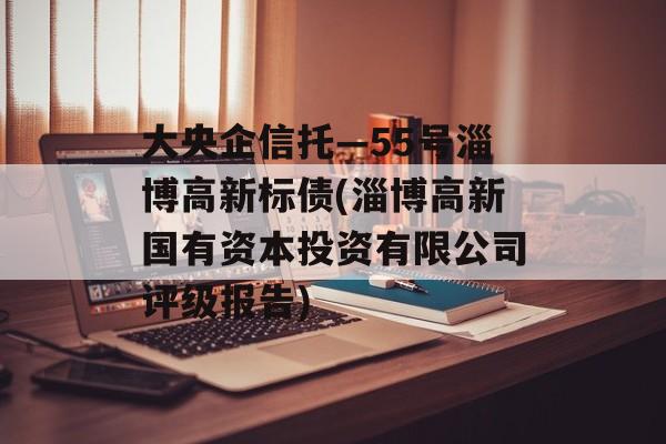 大央企信托—55号淄博高新标债(淄博高新国有资本投资有限公司评级报告)