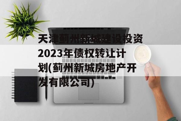 天津蓟州新城建设投资2023年债权转让计划(蓟州新城房地产开发有限公司)