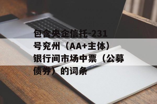 包含央企信托-231号兖州（AA+主体）银行间市场中票（公募债券）的词条