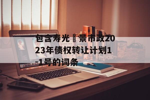 包含寿光昇景市政2023年债权转让计划1-1号的词条