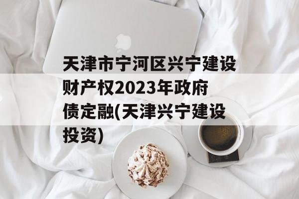 天津市宁河区兴宁建设财产权2023年政府债定融(天津兴宁建设投资)