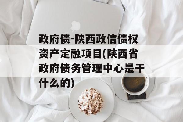 政府债-陕西政信债权资产定融项目(陕西省政府债务管理中心是干什么的)