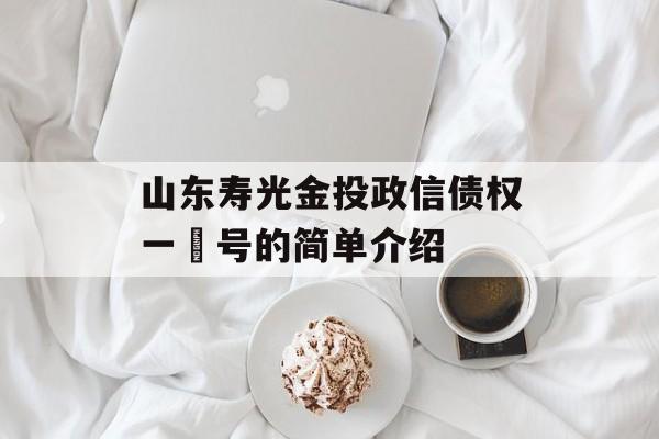 山东寿光金投政信债权一‬号的简单介绍