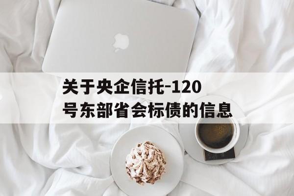 关于央企信托-120号东部省会标债的信息