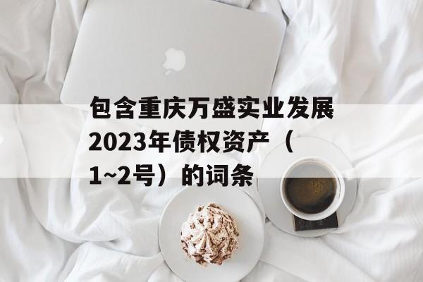 包含重庆万盛实业发展2023年债权资产（1~2号）的词条