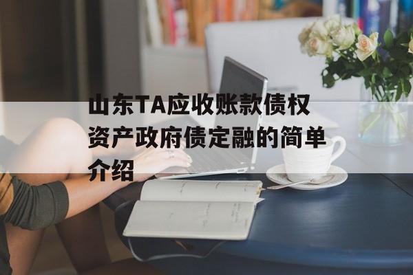 山东TA应收账款债权资产政府债定融的简单介绍