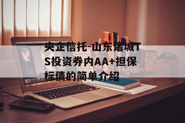 央企信托-山东诸城TS投资券内AA+担保标债的简单介绍