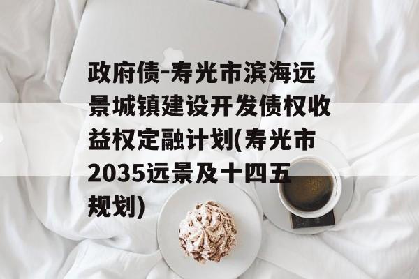 政府债-寿光市滨海远景城镇建设开发债权收益权定融计划(寿光市2035远景及十四五规划)